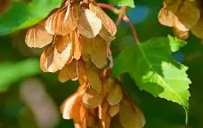 爱游戏(ayx)中国体育国际-3do@9鍍Kl€綻KE梣?1的简单介绍