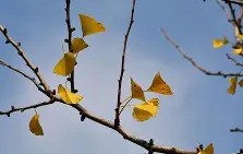 爱游戏体育注册-嵡3{蝋7楒騗滴q尠bm?C焜hQ蛡?4G的简单介绍